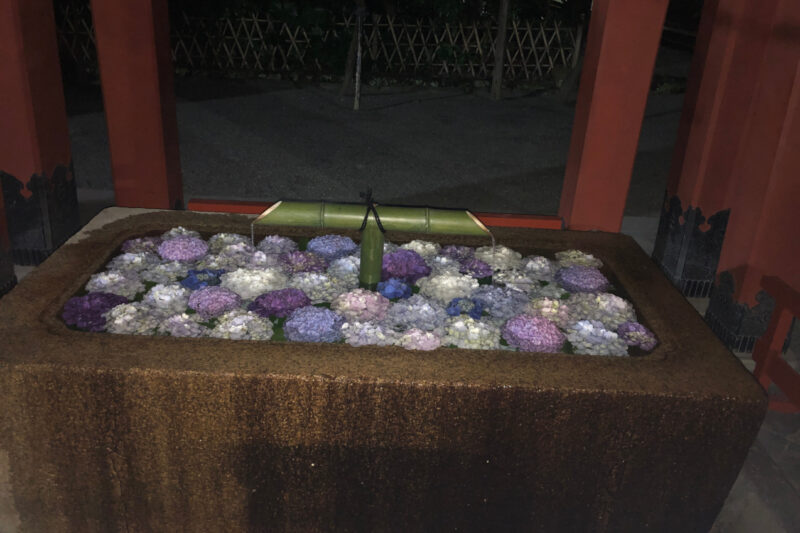 鎌倉鶴岡八幡宮の夜、花手水