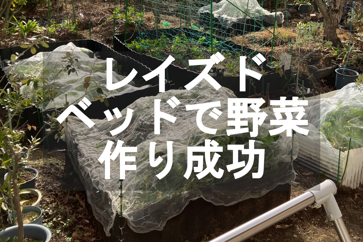 レイズドベッド（畔板）で野菜作りに成功した本当の理由